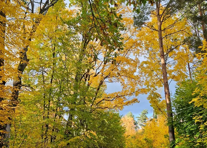 Prazdninovy Dum Barca